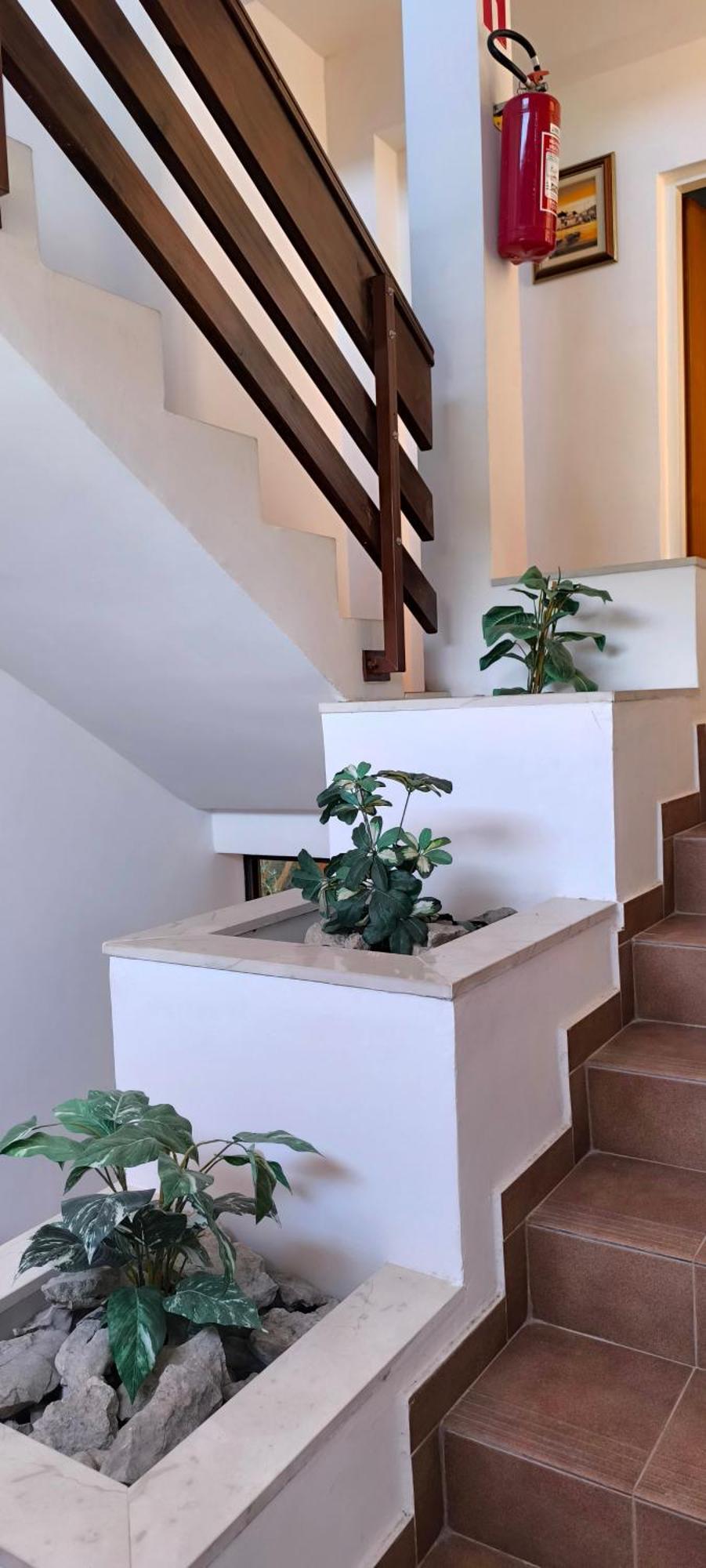 Antunovic Appartement *